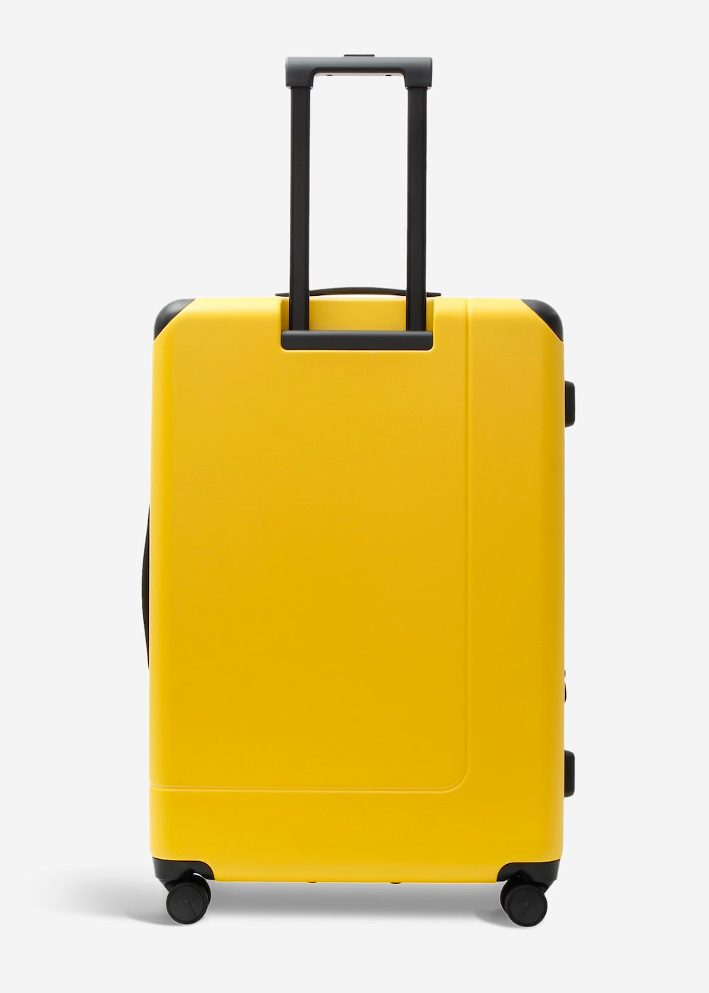 #colour_limited edition burly yellow