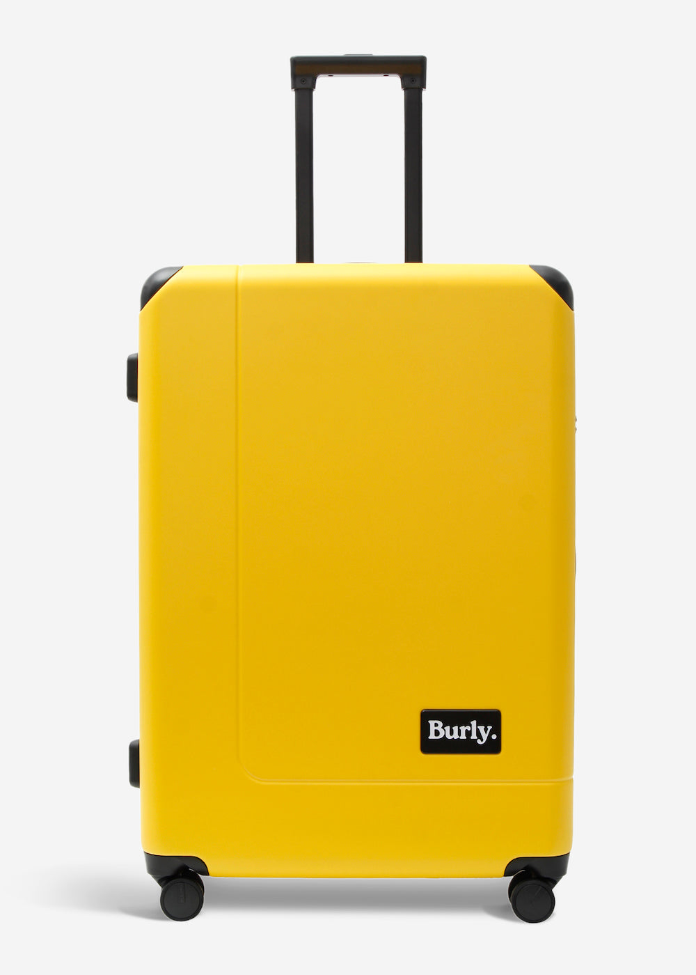 #colour_limited edition burly yellow